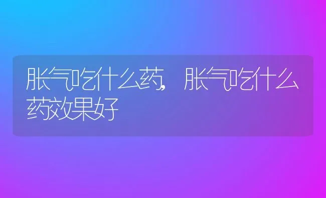 胀气吃什么药,胀气吃什么药效果好 | 养殖资料