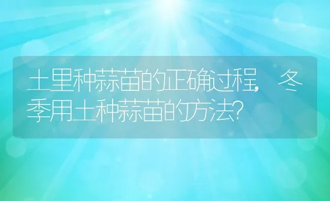 土里种蒜苗的正确过程,冬季用土种蒜苗的方法？ | 养殖科普