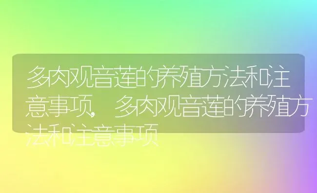 多肉观音莲的养殖方法和注意事项,多肉观音莲的养殖方法和注意事项 | 养殖科普