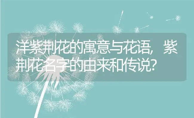 洋紫荆花的寓意与花语,紫荆花名字的由来和传说？ | 养殖科普