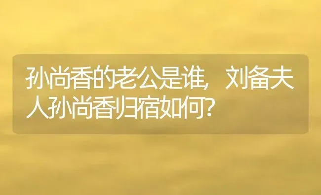 孙尚香的老公是谁,刘备夫人孙尚香归宿如何？ | 养殖科普
