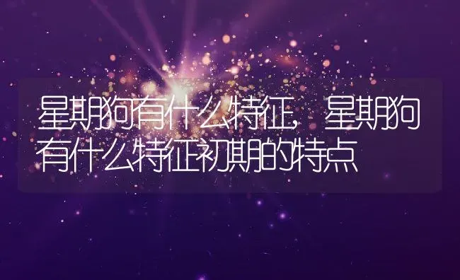 星期狗有什么特征,星期狗有什么特征初期的特点 | 养殖资料