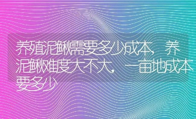 养殖泥鳅需要多少成本,养泥鳅难度大不大，一亩地成本要多少 | 养殖学堂