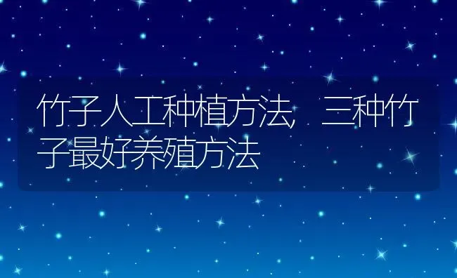 竹子人工种植方法,三种竹子最好养殖方法 | 养殖学堂