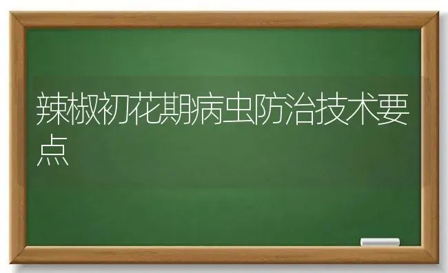 辣椒初花期病虫防治技术要点 | 养殖知识