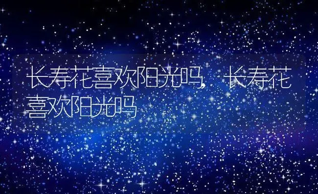 长寿花喜欢阳光吗,长寿花喜欢阳光吗 | 养殖科普