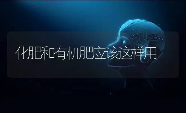 化肥和有机肥应该这样用 | 养殖技术大全