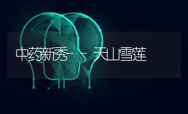 中药新秀--天山雪莲 | 养殖技术大全