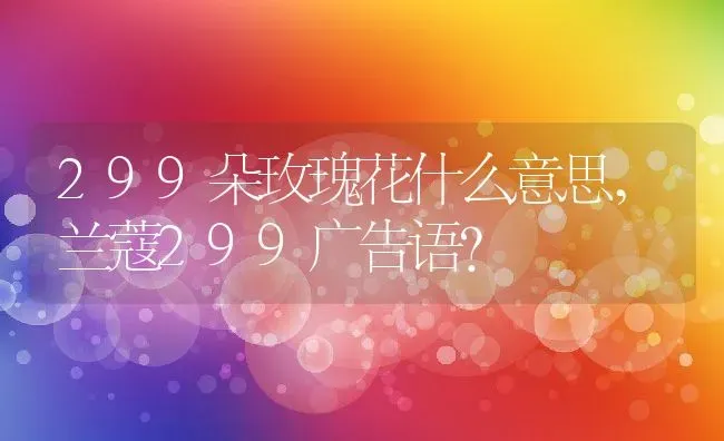 299朵玫瑰花什么意思,兰蔻299广告语？ | 养殖科普