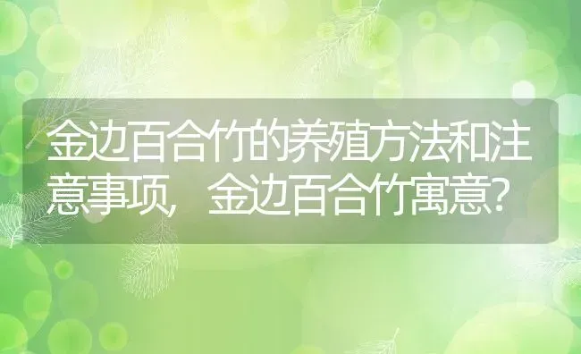 金边百合竹的养殖方法和注意事项,金边百合竹寓意？ | 养殖科普