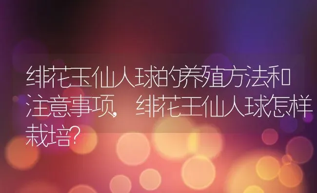 绯花玉仙人球的养殖方法和注意事项,绯花王仙人球怎样栽培？ | 养殖科普