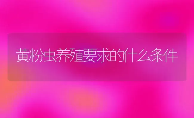 黄粉虫养殖要求的什么条件 | 养殖知识