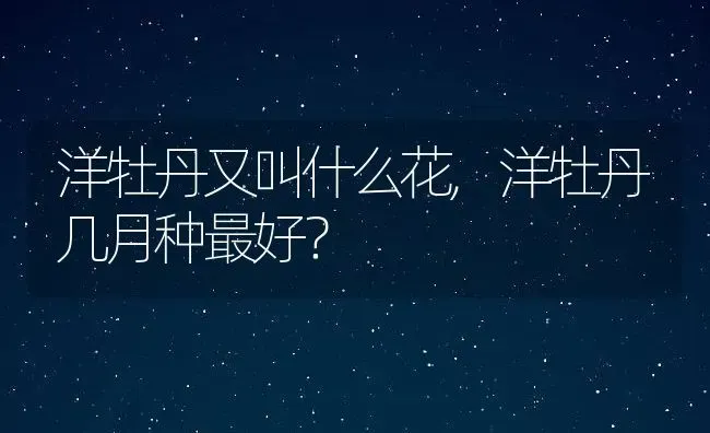 洋牡丹又叫什么花,洋牡丹几月种最好？ | 养殖科普