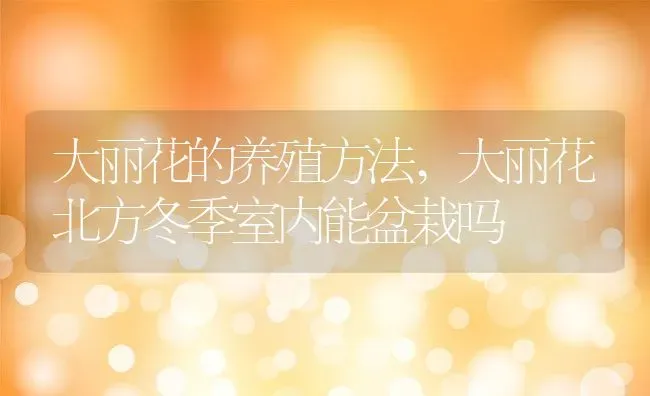 大丽花的养殖方法,大丽花北方冬季室内能盆栽吗 | 养殖学堂