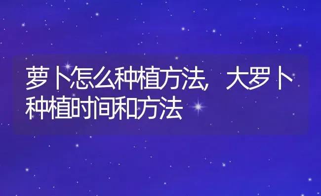 萝卜怎么种植方法,大罗卜种植时间和方法 | 养殖学堂