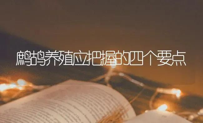 鹧鸪养殖应把握的四个要点 | 养殖知识