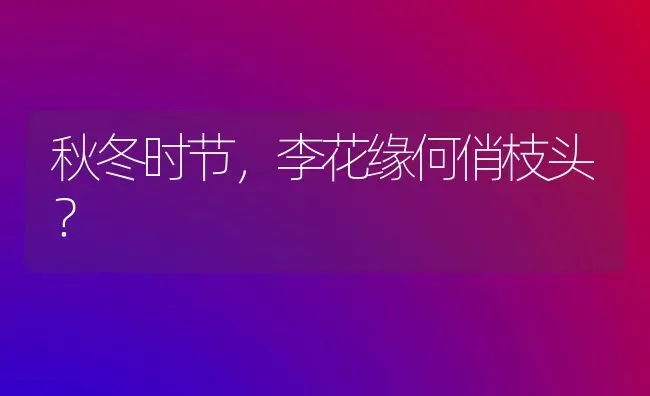 秋冬时节,李花缘何俏枝头? | 养殖技术大全