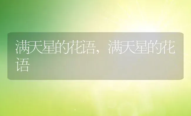 满天星的花语,满天星的花语 | 养殖科普