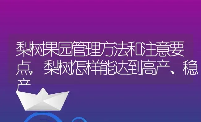 梨树果园管理方法和注意要点,梨树怎样能达到高产、稳产 | 养殖学堂