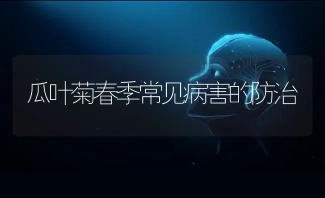 瓜叶菊春季常见病害的防治 | 养殖技术大全