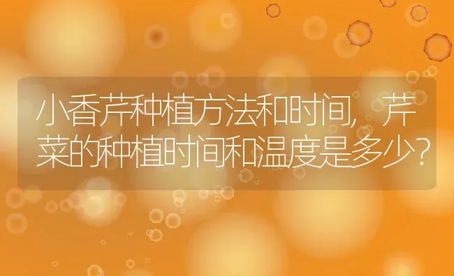 小香芹种植方法和时间,芹菜的种植时间和温度是多少？ | 养殖科普