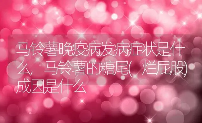 马铃薯晚疫病发病症状是什么,马铃薯的糖尾(烂屁股)成因是什么 | 养殖学堂