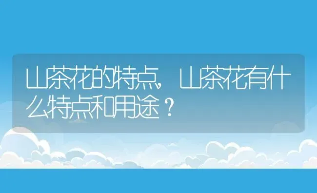 山茶花的特点,山茶花有什么特点和用途？ | 养殖科普