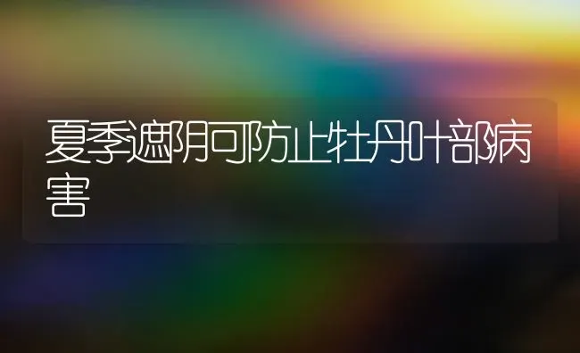 夏季遮阴可防止牡丹叶部病害 | 养殖技术大全