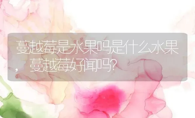 蔓越莓是水果吗是什么水果,蔓越莓好闻吗？ | 养殖科普