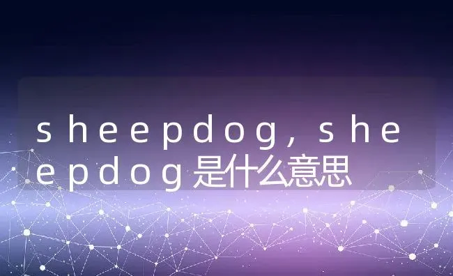 sheepdog,sheepdog是什么意思 | 养殖科普