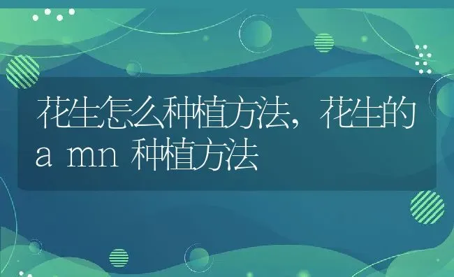 花生怎么种植方法,花生的amn种植方法 | 养殖学堂