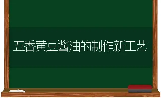 五香黄豆酱油的制作新工艺 | 养殖技术大全