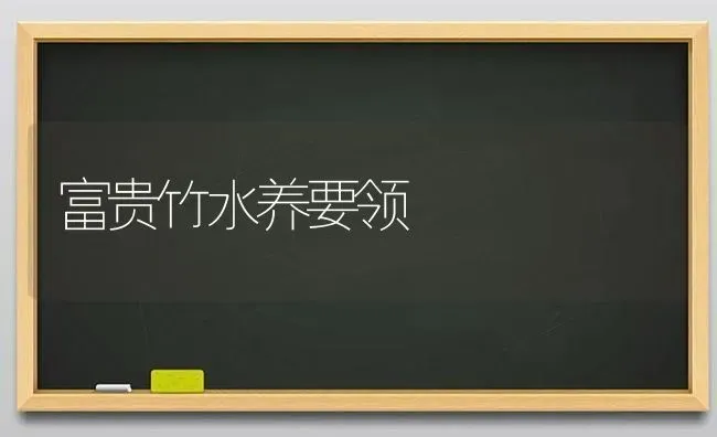 富贵竹水养要领 | 养殖技术大全