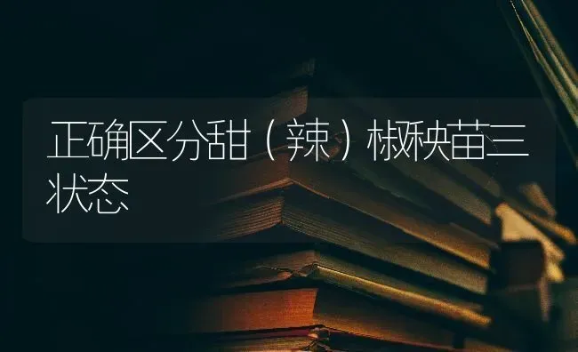 正确区分甜(辣)椒秧苗三状态 | 养殖知识