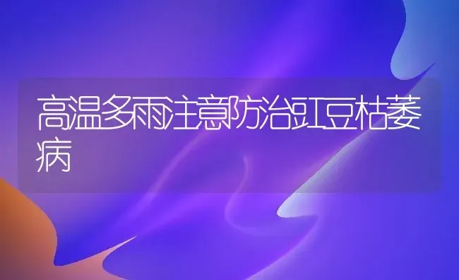 高温多雨注意防治豇豆枯萎病 | 养殖技术大全