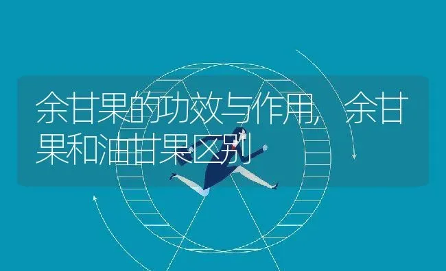 余甘果的功效与作用,余甘果和油甘果区别 | 养殖学堂