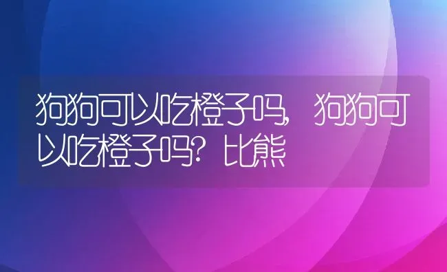 狗狗可以吃橙子吗,狗狗可以吃橙子吗?比熊 | 养殖科普