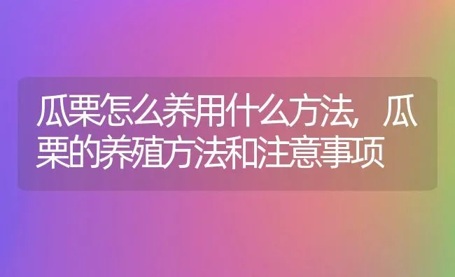 瓜栗怎么养用什么方法,瓜栗的养殖方法和注意事项 | 养殖科普