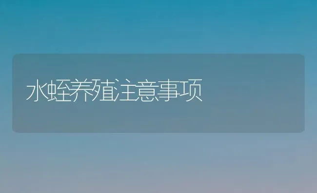 水蛭养殖注意事项 | 养殖知识