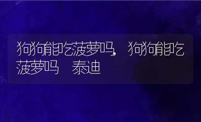 狗狗能吃菠萝吗,狗狗能吃菠萝吗 泰迪 | 养殖科普