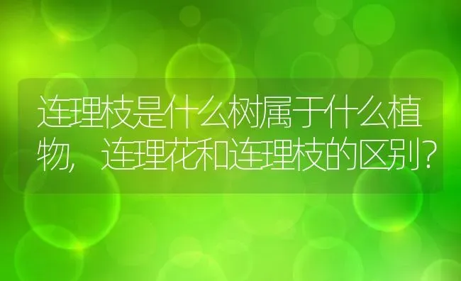 连理枝是什么树属于什么植物,连理花和连理枝的区别？ | 养殖科普