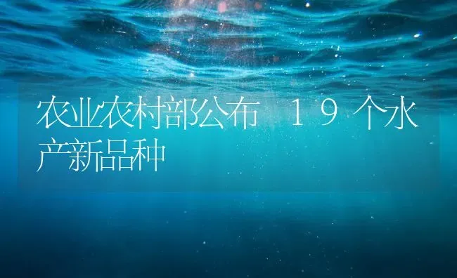 农业农村部公布 19个水产新品种 | 养殖技术大全