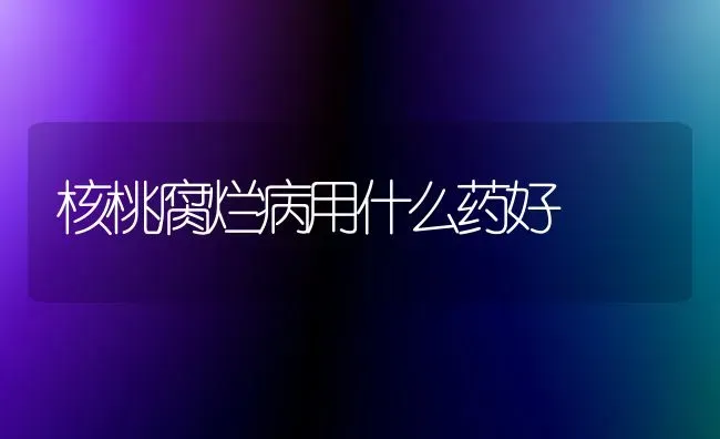 核桃腐烂病用什么药好 | 养殖技术大全