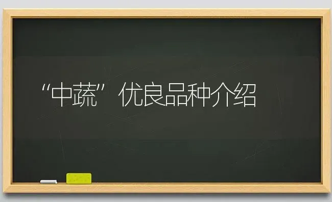 “中蔬”优良品种介绍 | 养殖技术大全