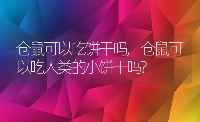 仓鼠可以吃饼干吗,仓鼠可以吃人类的小饼干吗? | 养殖资料