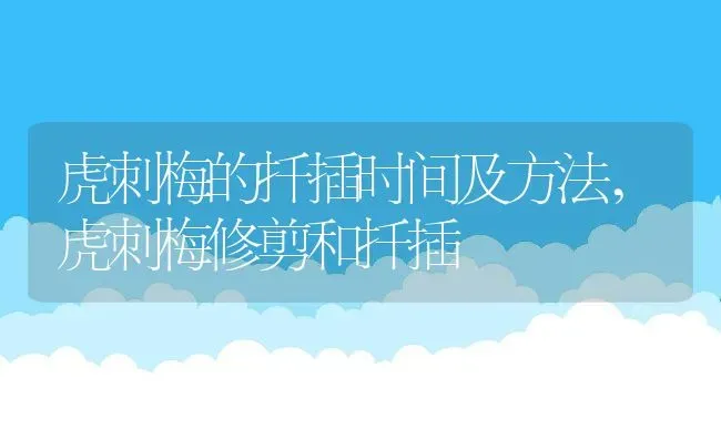 虎刺梅的扦插时间及方法,虎刺梅修剪和扦插 | 养殖学堂