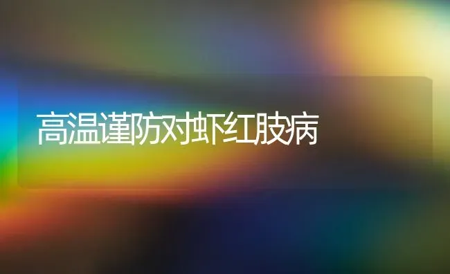 高温谨防对虾红肢病 | 养殖技术大全