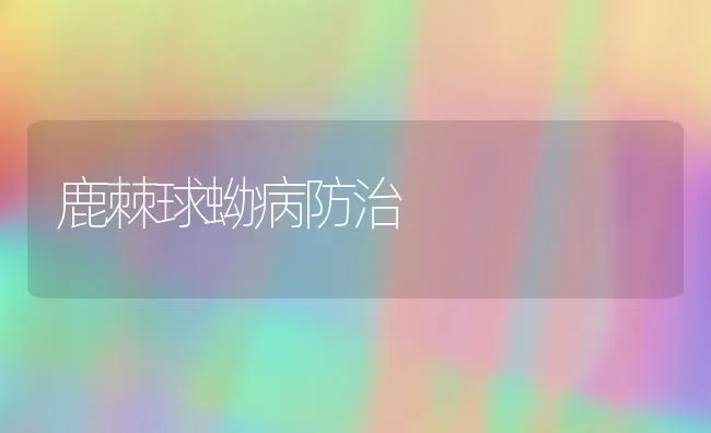 鹿棘球蚴病防治 | 养殖技术大全