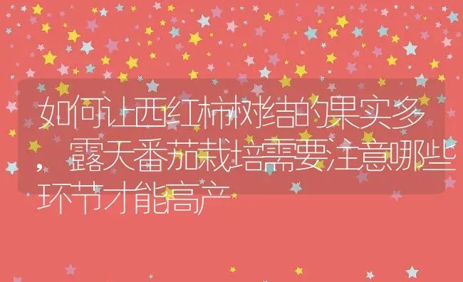 如何让西红柿树结的果实多,露天番茄栽培需要注意哪些环节才能高产 | 养殖学堂