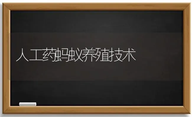 人工药蚂蚁养殖技术 | 养殖知识